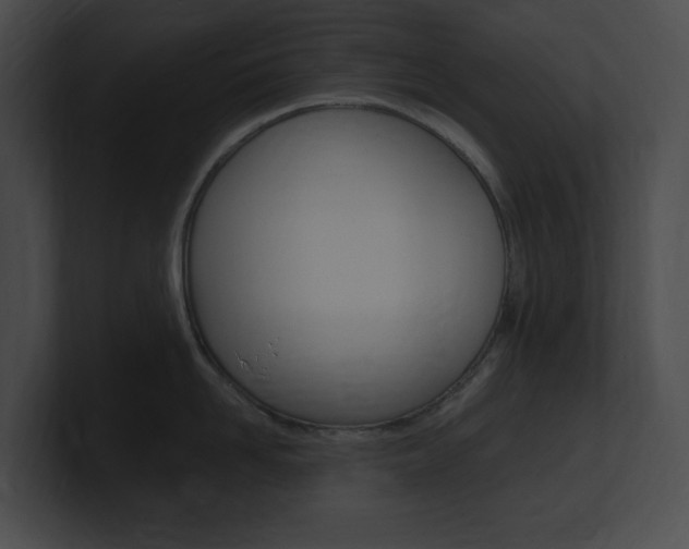 X0000101160958200806270729