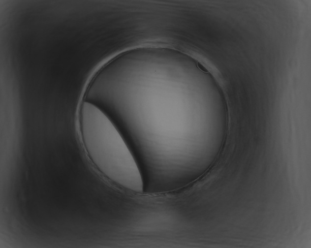 X0000101160960200806270729