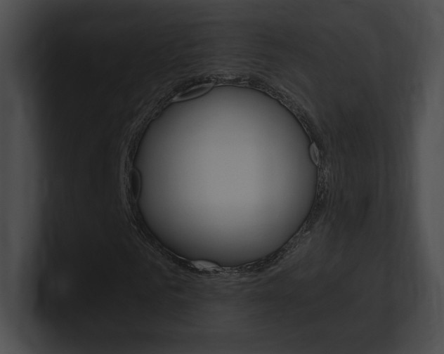 X0000101160961200806270729