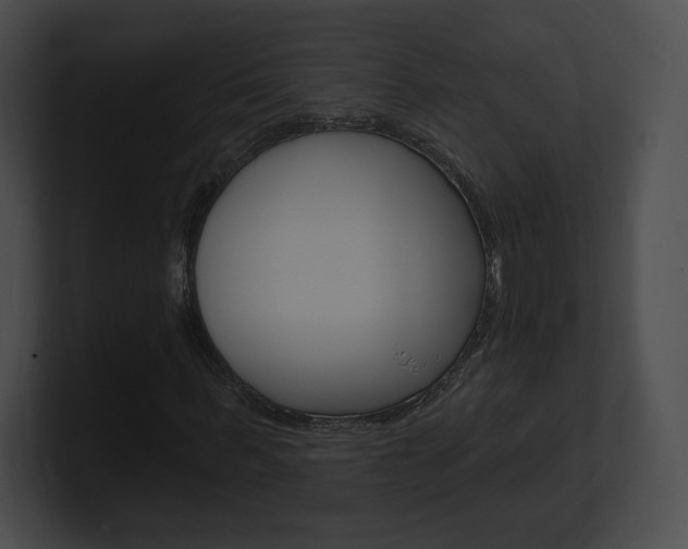 X0000101160963200806270729