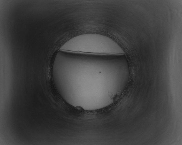 X0000101160964200806270729