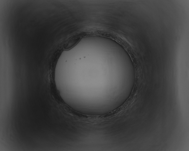 X0000101160965200806270729