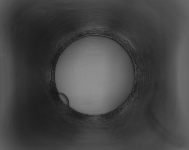 X0000101160966200806270729