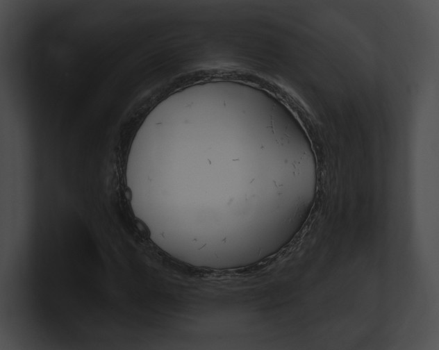 X0000101160967200806270729
