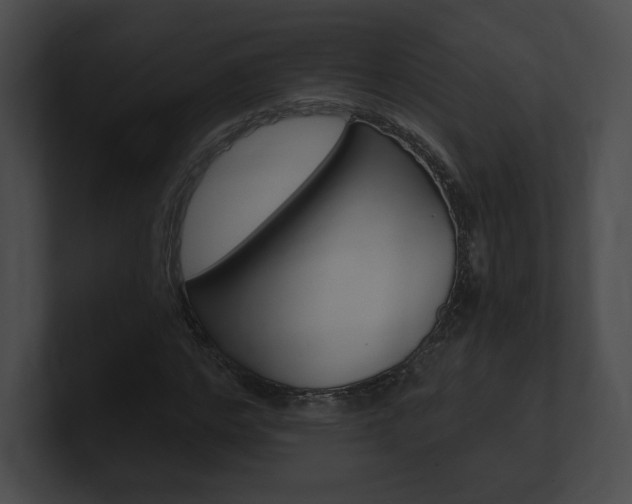 X0000101160968200806270729