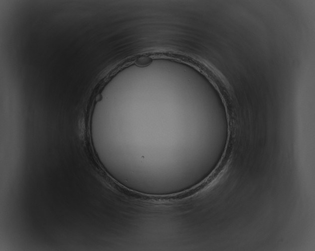 X0000101160969200806270729