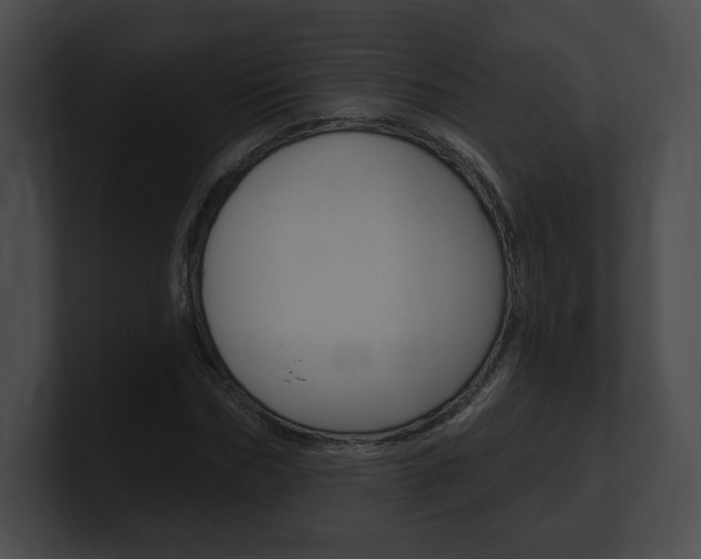 X0000101160970200806270729