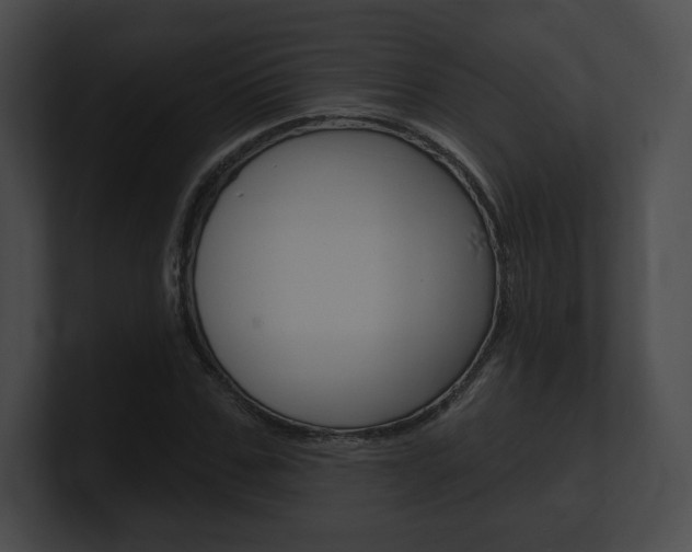 X0000101160971200806270729