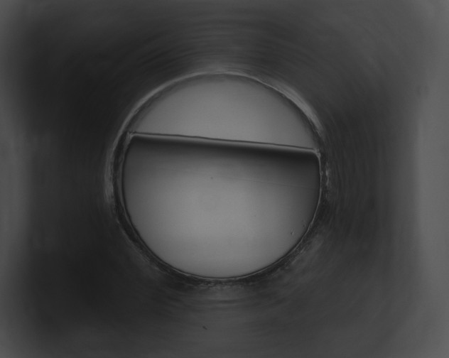 X0000101160972200806270729