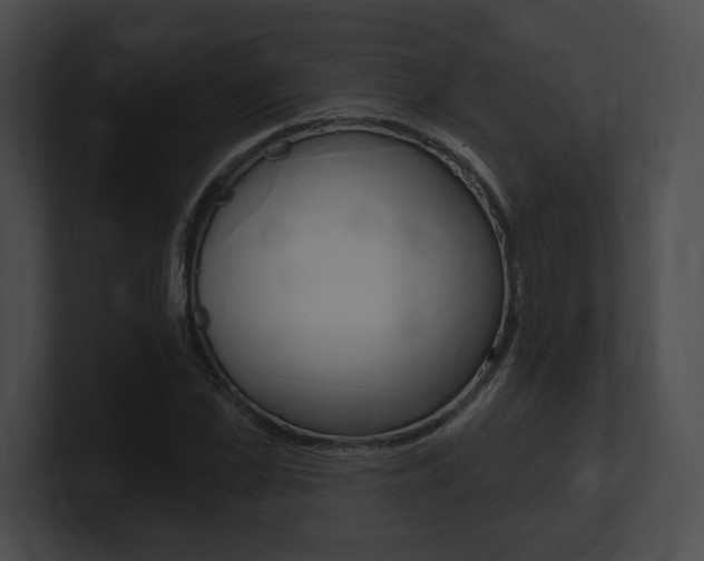 X0000101160973200806270729