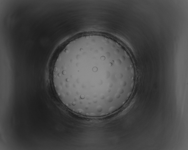 X0000101160974200806270729