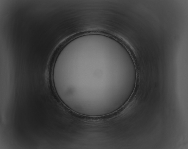 X0000101160975200806270729