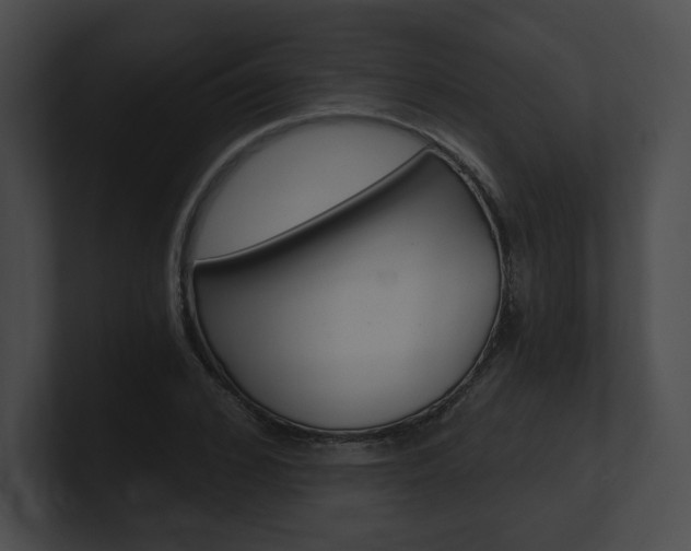 X0000101160976200806270729