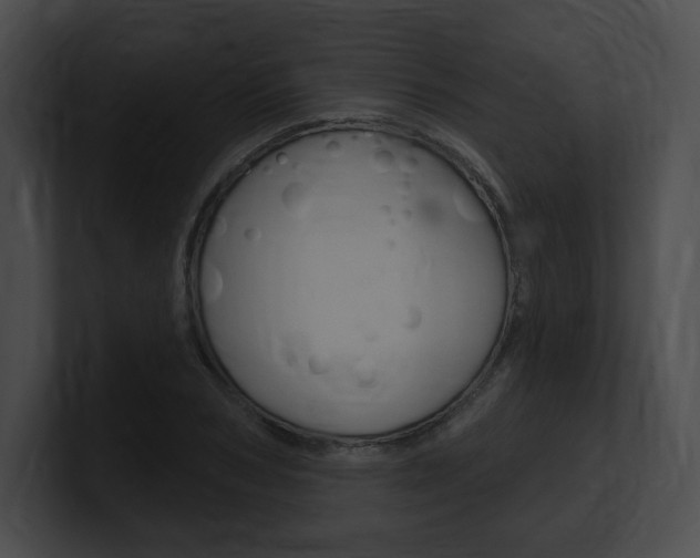 X0000101160978200806270729
