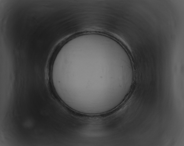 X0000101160979200806270729