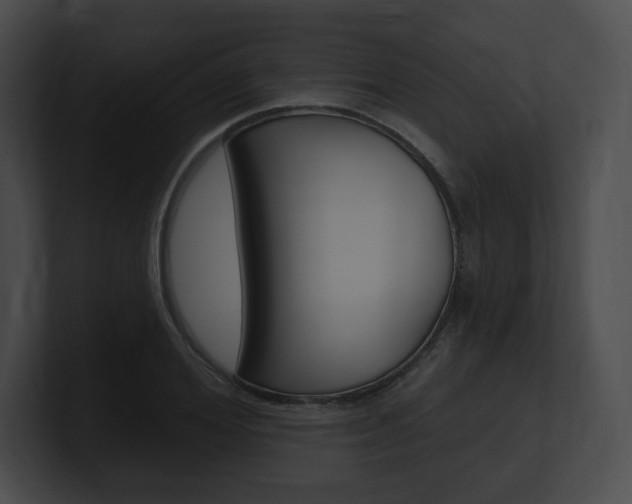 X0000101160980200806270729