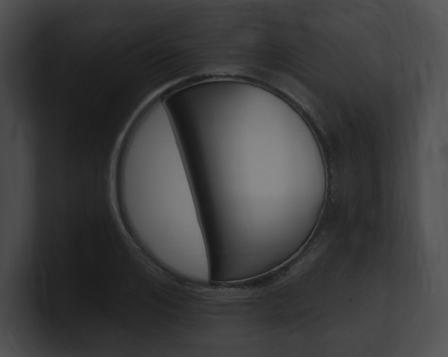 X0000101160984200806270728