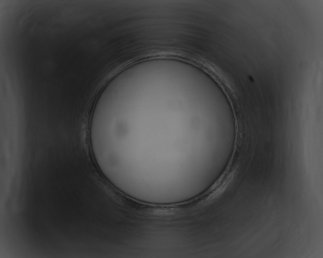 X0000101160985200806270728
