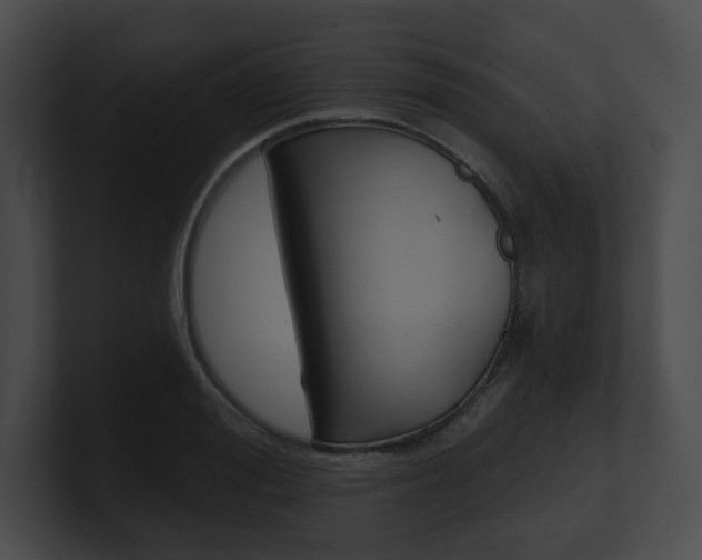 X0000101160988200806270728