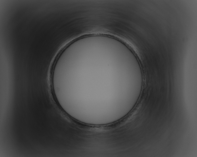 X0000101160990200806270728