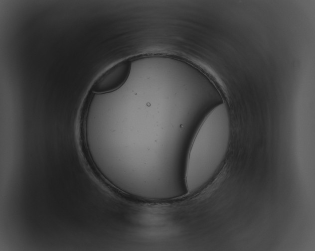 X0000101160991200806270728