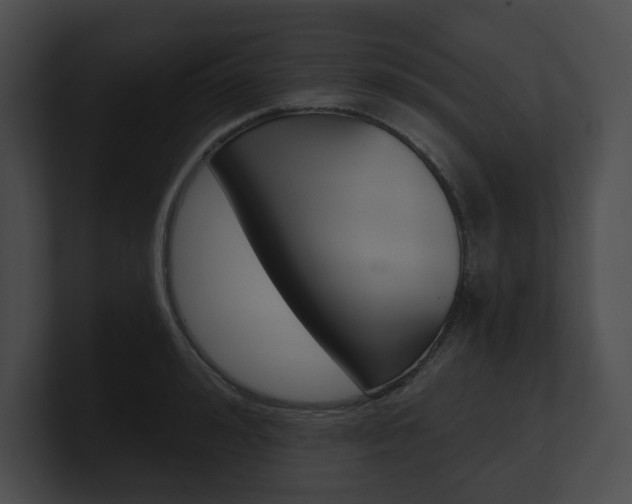 X0000101160992200806270728