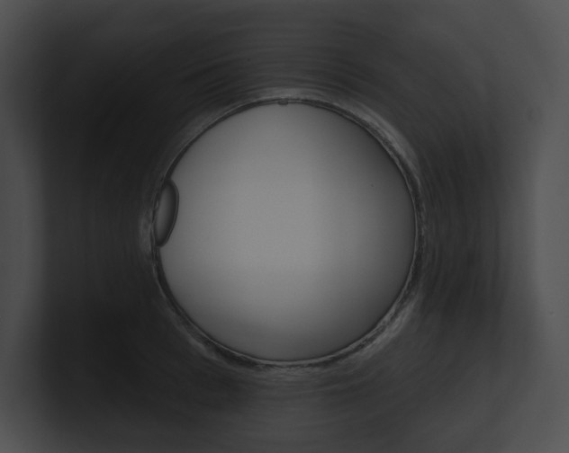 X0000101160993200806270728
