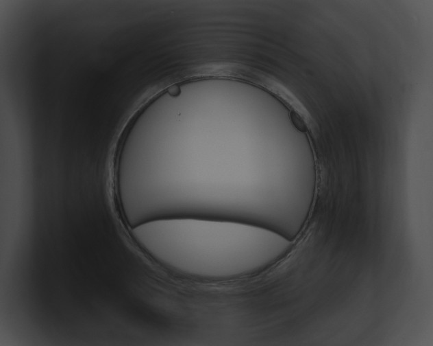 X0000101160994200806270728