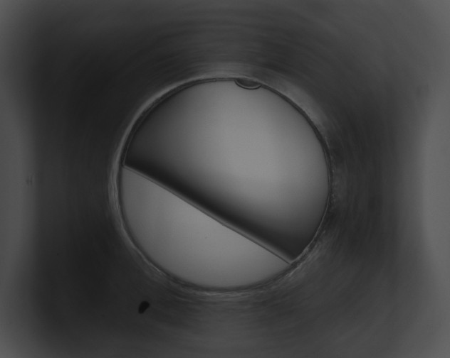 X0000101160996200806270728