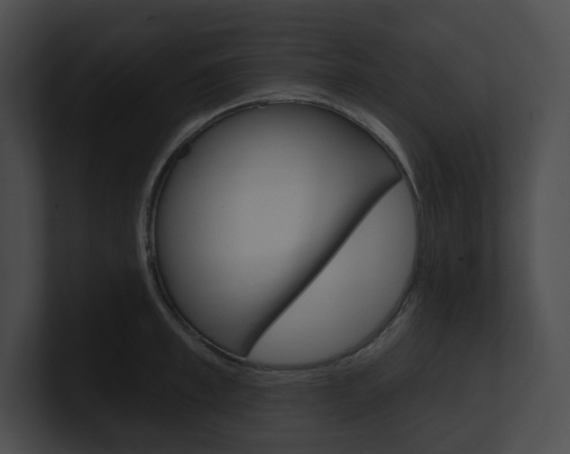 X0000101160997200806270728