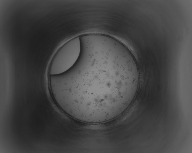 X0000101160998200806270728