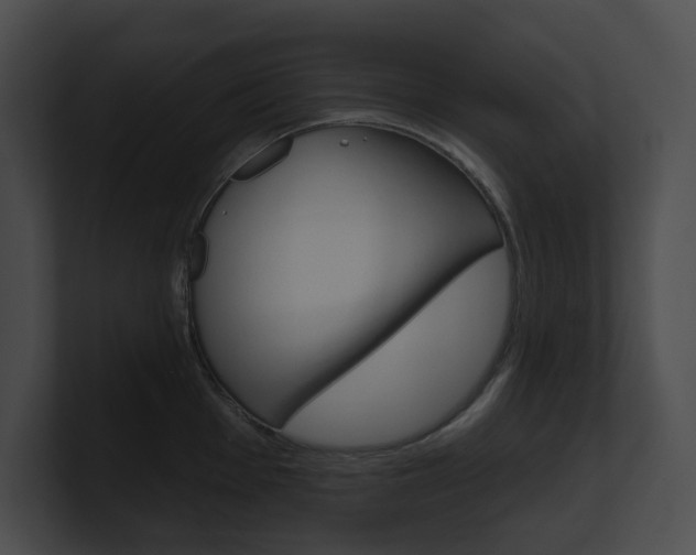 X0000101161001200806270728