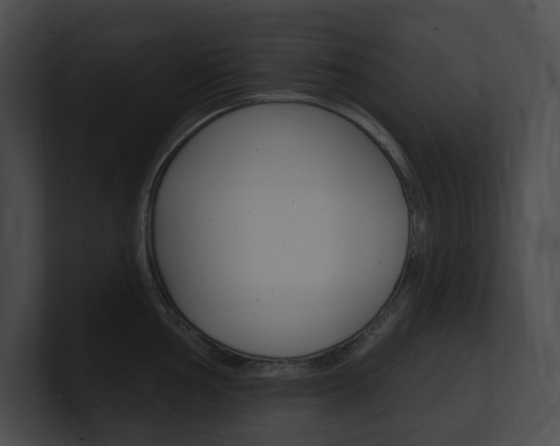 X0000101161002200806270728