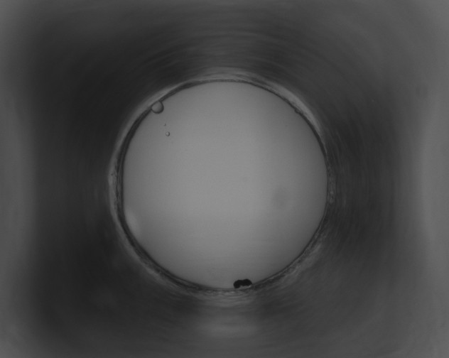X0000101161003200806270728