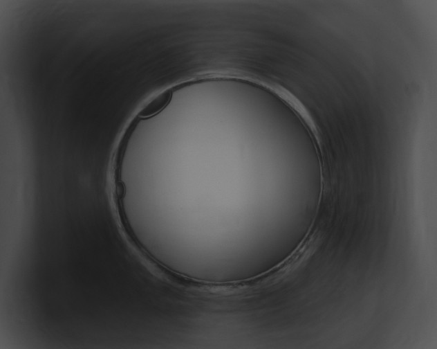 X0000101161005200806270728