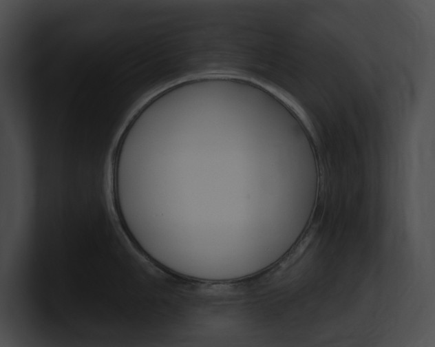 X0000101161006200806270728