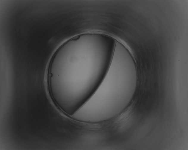 X0000101161007200806270728