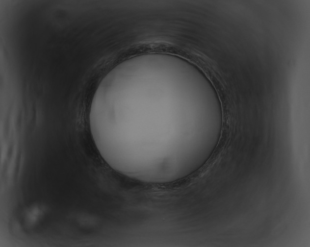X0000101161014200806270728