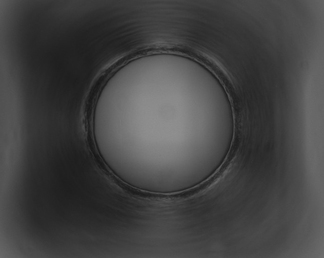 X0000101161018200806270728