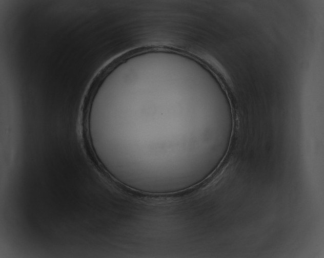 X0000101161020200806270728