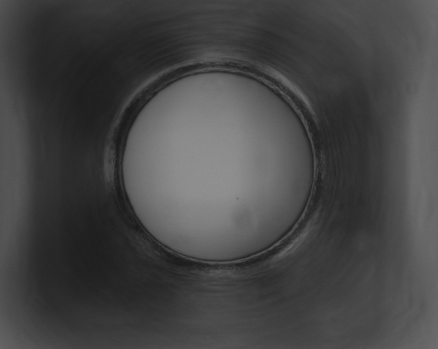 X0000101161021200806270728