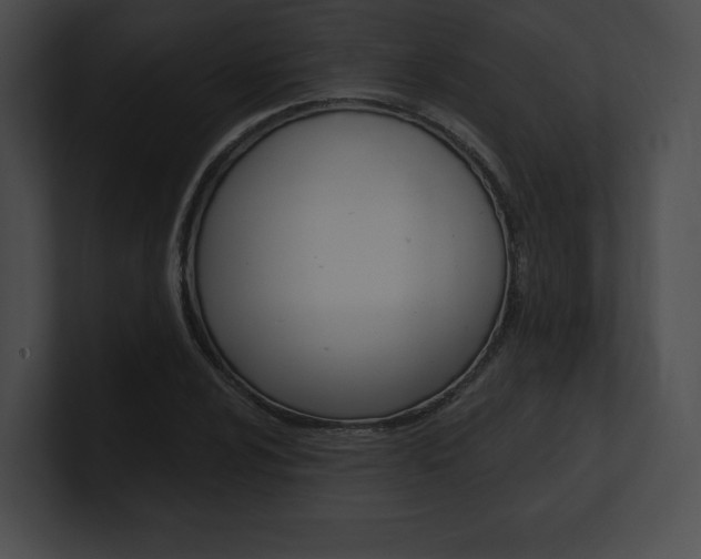 X0000101161024200806270728