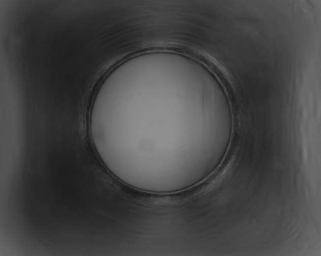 X0000101161025200806270728