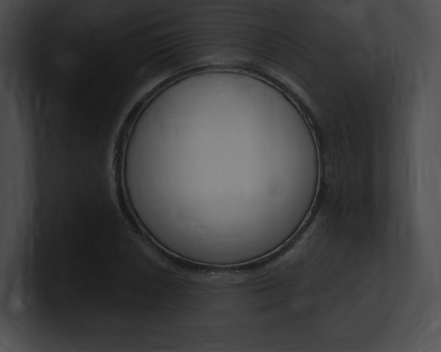 X0000101161026200806270728