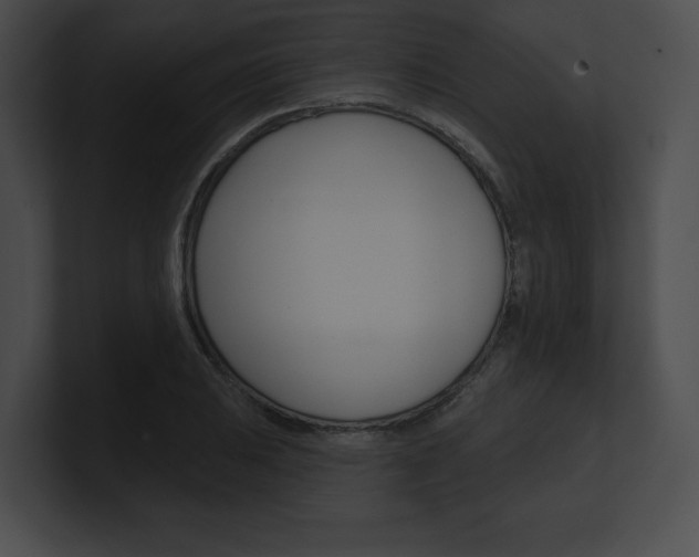 X0000101161031200806270728