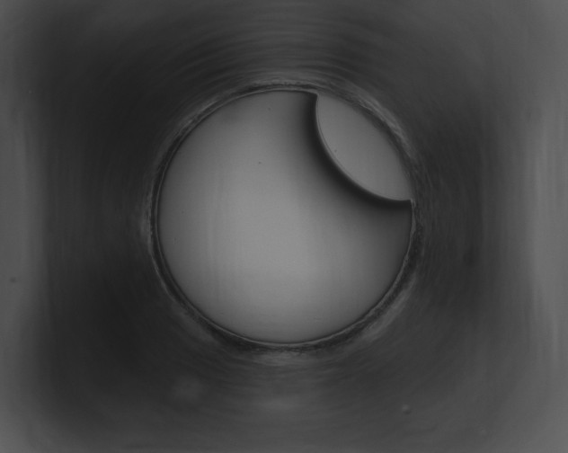 X0000101161033200806270728