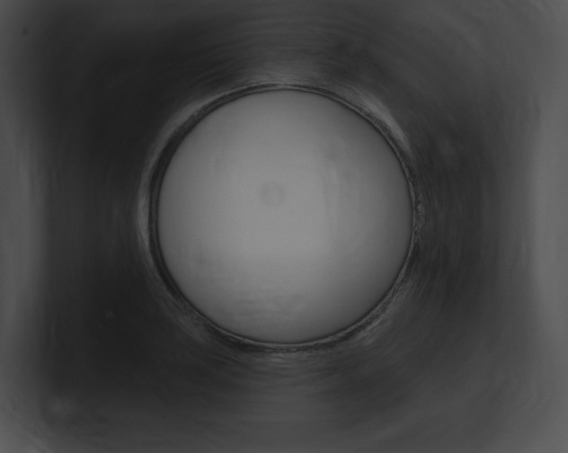 X0000101161035200806270728