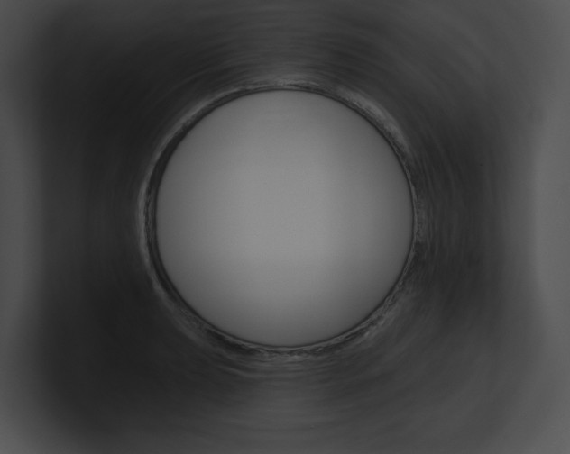 X0000101161039200806270728