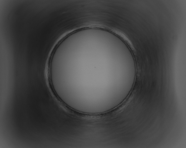 X0000101161040200806270728