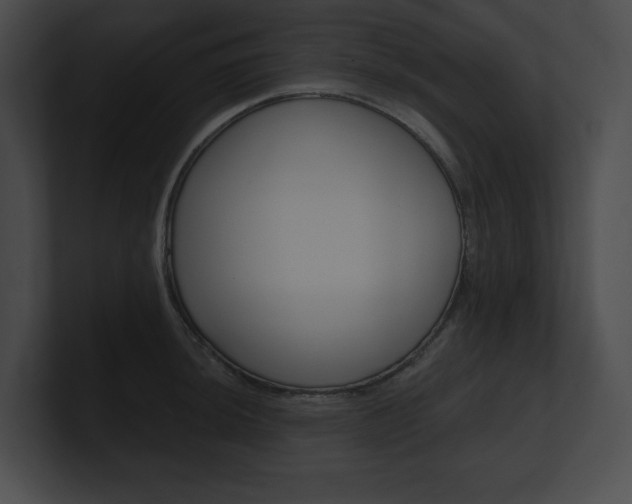 X0000101161044200806270728